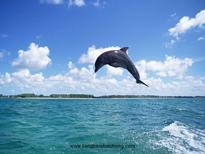 【全球行·大洋洲】關島