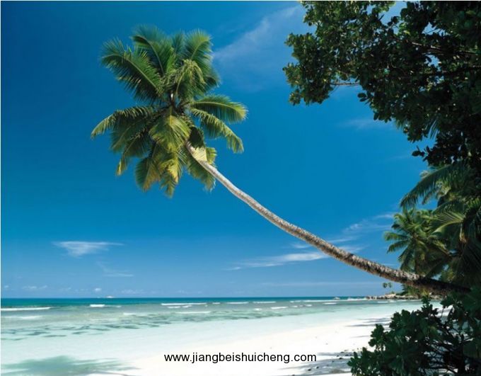 【全球行·大洋洲】關島